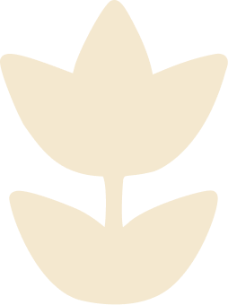 ORGANIC NATURAL FLAVORS